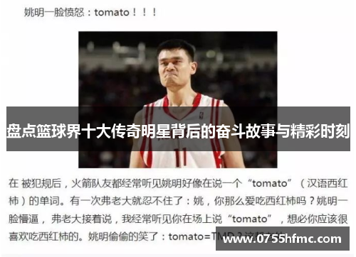 盘点篮球界十大传奇明星背后的奋斗故事与精彩时刻