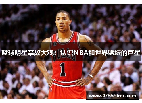 篮球明星掌故大观：认识NBA和世界篮坛的巨星