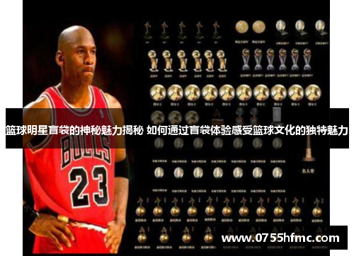 篮球明星盲袋的神秘魅力揭秘 如何通过盲袋体验感受篮球文化的独特魅力