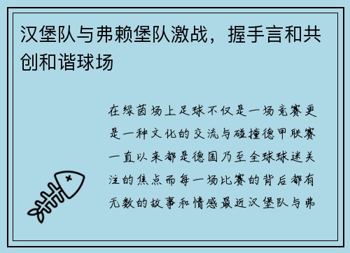 汉堡队与弗赖堡队激战，握手言和共创和谐球场